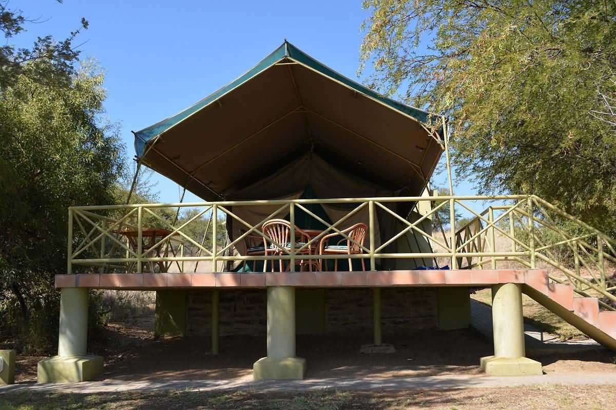 pic15